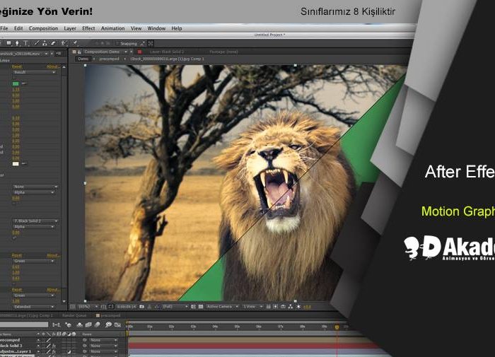 Adobe After effect kursu İstanbul