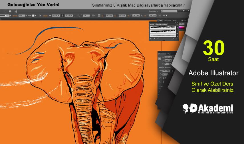 Adone illustrator eğitimi istanbul